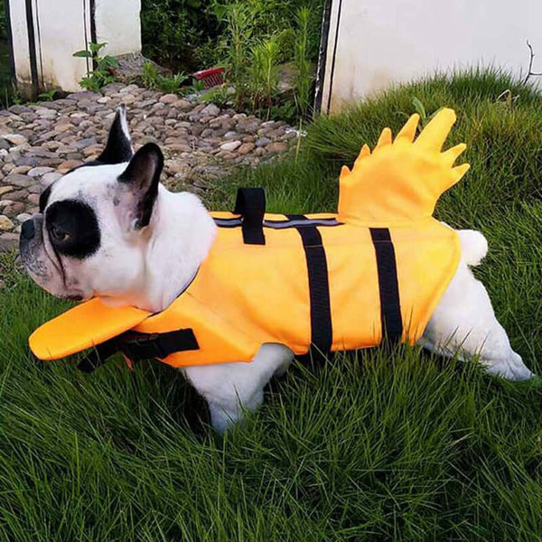 Dragon tail dog life jacket lifestyle photo dog wearing vest