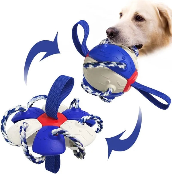  Active Play Soccer Ball