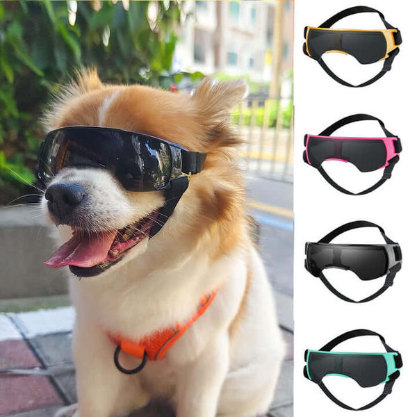 Dog UV protection goggles lifestyle photo with dog wearing goggles