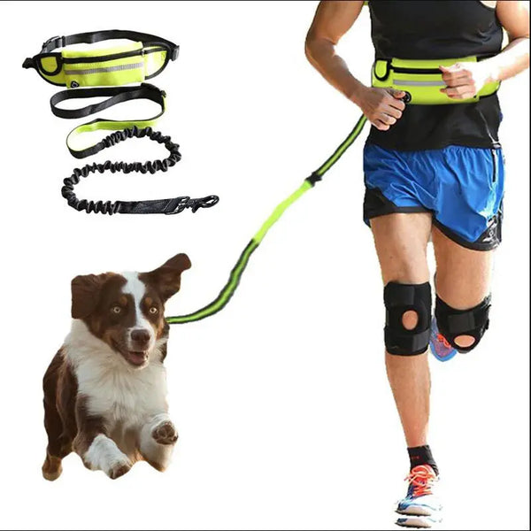  Freedom Bungee Leash
