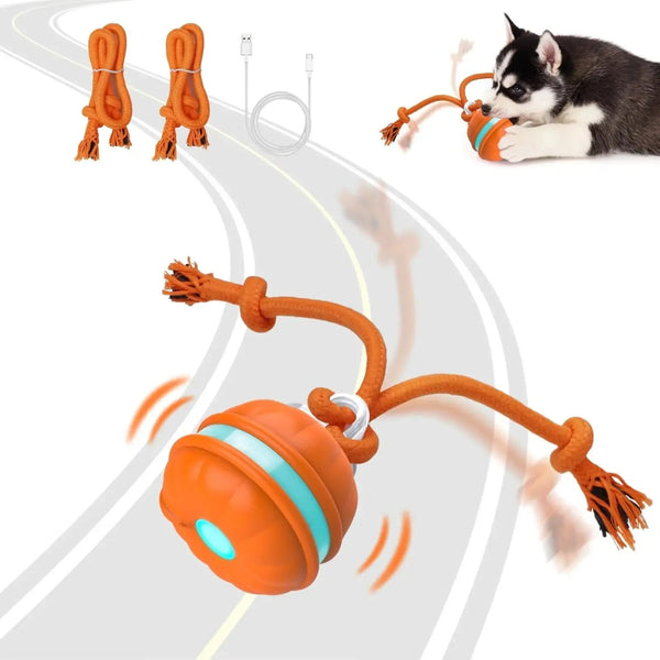 interactive cat ball toy