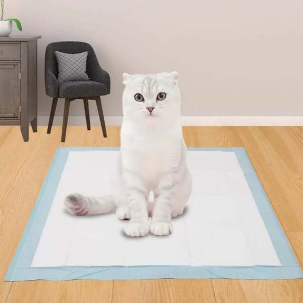 Extra thick deodorizing pee pads for dogs puppy on pad lifestyle